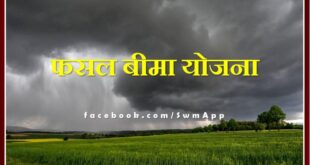 Sawai Madhopur News Get insurance of horticultural crops under weather based crop insurance scheme