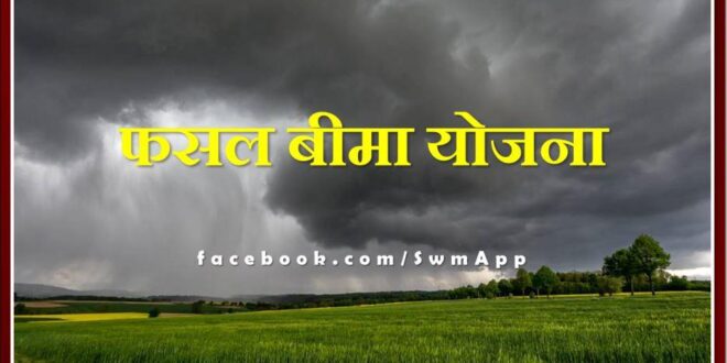 Sawai Madhopur News Get insurance of horticultural crops under weather based crop insurance scheme