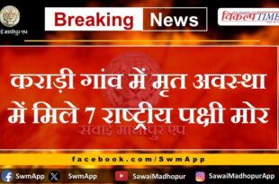 7 national bird peacocks found dead in Karadi village