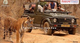 Apply for wildlife guide in Ranthambore Tiger Reserve by 28 February