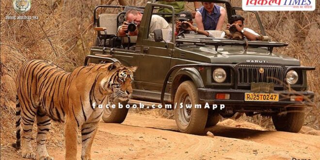 Apply for wildlife guide in Ranthambore Tiger Reserve by 28 February