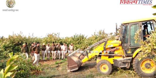 Encroachment removed from four bighas of forest land in sawai madhopur