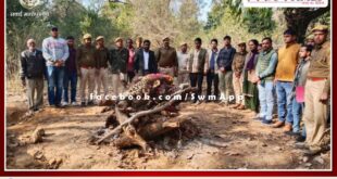 Female panther cremated as per rules in sawai madhopur