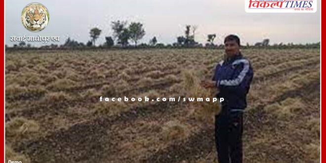 Bad weather increased the heartbeats of farmers in shivar