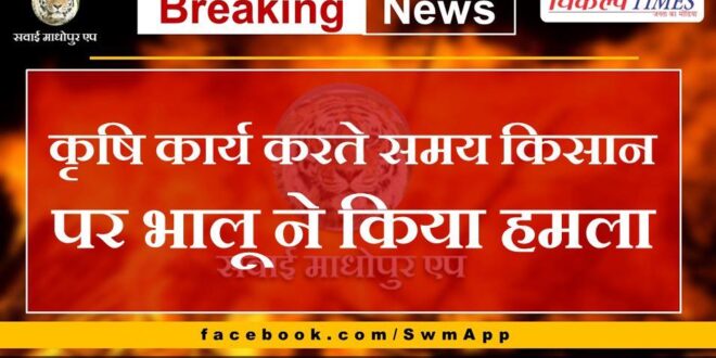 Bear attacked farmer while doing agricultural work in sawai madhopur