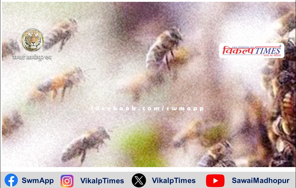 Bees attacked a farmer working in the field in jodhpur