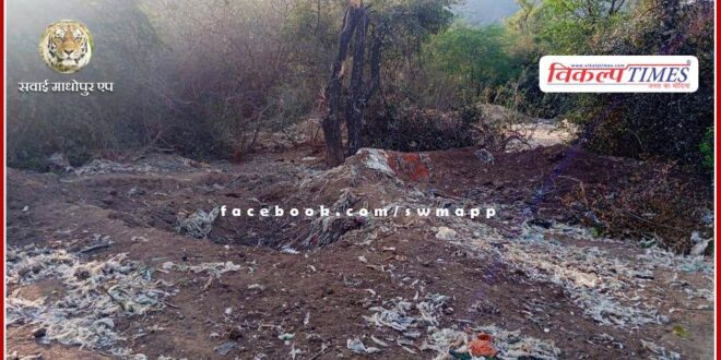 Housing Board people troubled by dead cattle in sawai madhopur