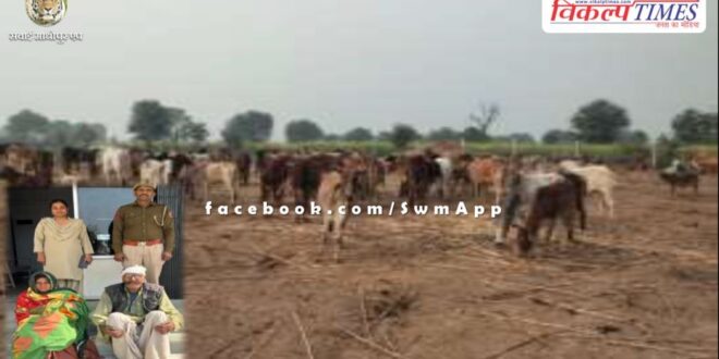 Malarna Dungar Police Sawai Madhopur News Update 01 Feb 2024
