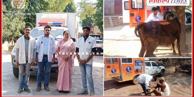 Dausa MP Jaskaur Meena welcomed the veterinary mobile van in mainpura