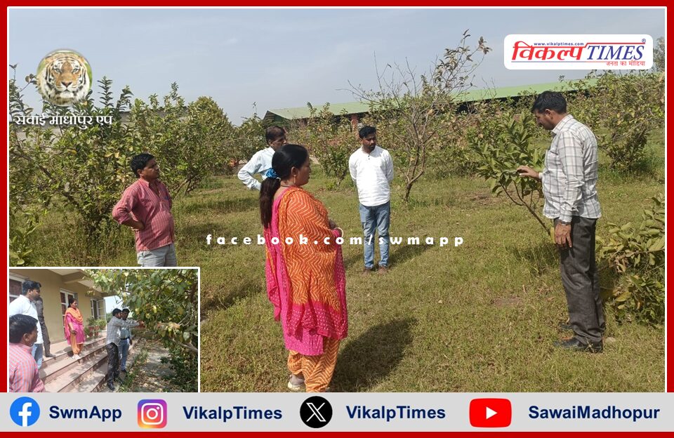 The team of Central Integrated Pest Management and State Agriculture Department conducted the survey of Ukhatha disease in guavas