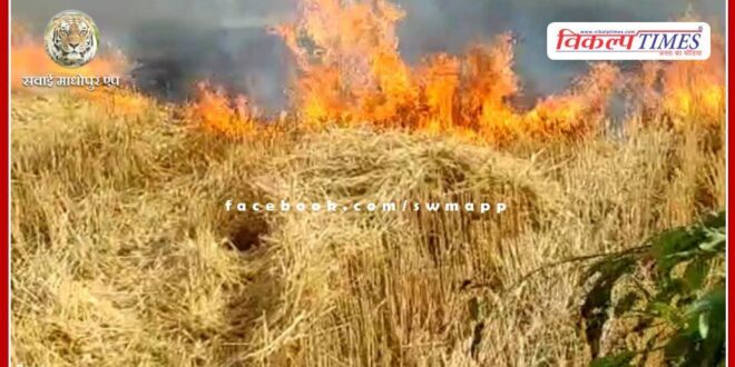 A massive fire broke out in a farm in Rathod village