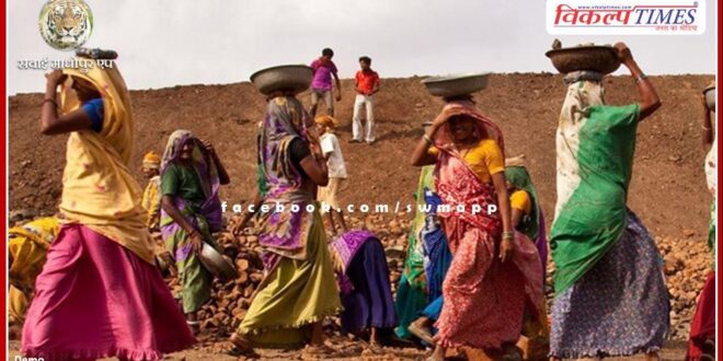 Changed timing of MNREGA works in sawai madhopur