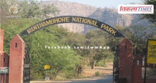 Demand to ban activities going on near the border of Ranthambore National Park
