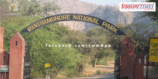 Demand to ban activities going on near the border of Ranthambore National Park