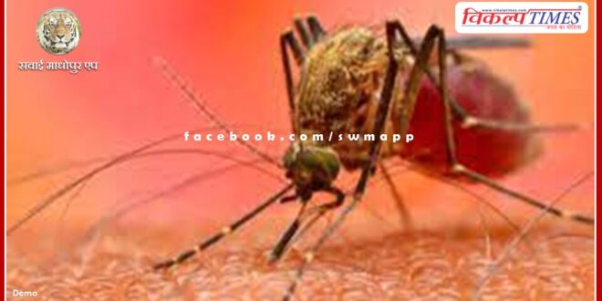 Malaria crash program started in the district for prevention of seasonal diseases and malaria