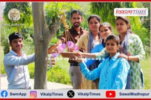 Plants planted for birds in the rising heat