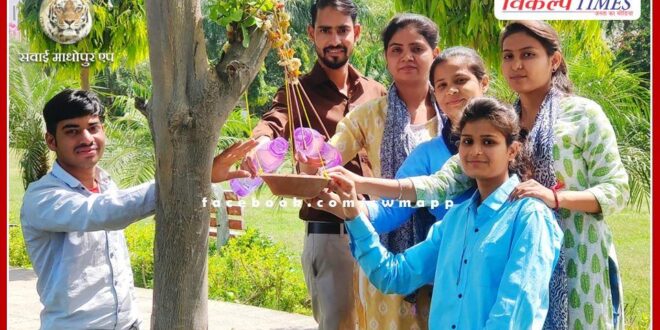 Plants planted for birds in the rising heat