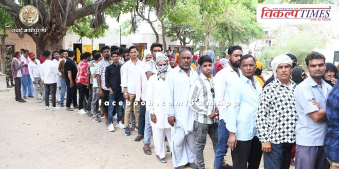 Voting completed peacefully in all four assembly constituencies of Sawai Madhopur and Gangapur City.