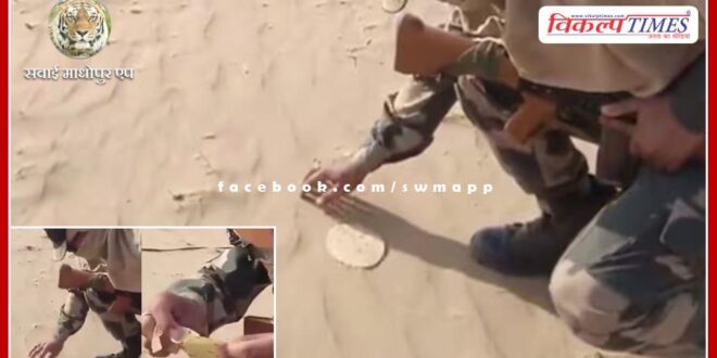BSF jawan baked papad on hot sand in rajasthan