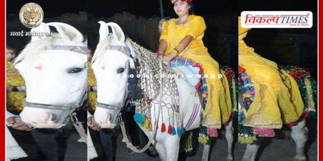 Bindori taken out by making the bride sit on a mare in lalsot