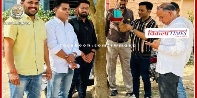 Birds installed in Shahunagar school sawai madhopur