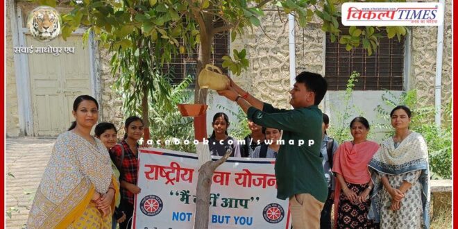 Birds planted in college campus for birds