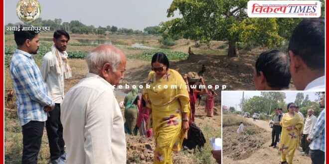 Divisional Commissioner took stock of MNREGA work in bundi