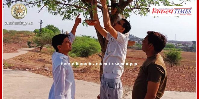 Ek Parinda Mera Bhi campaign started in chauth ka barwara