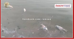 Fishes dying in the big pond of Shivar