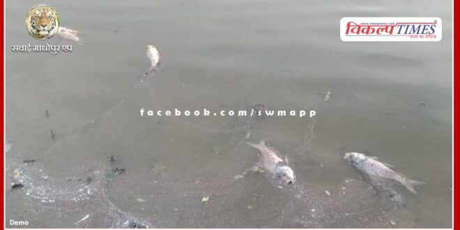 Fishes dying in the big pond of Shivar