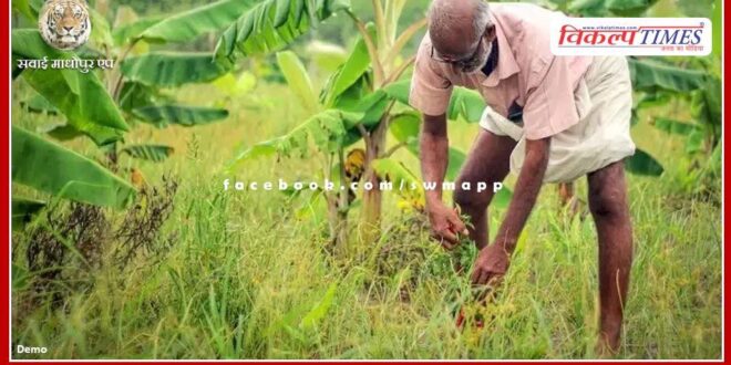 Intensive quality control campaign before Kharif season, strict action will be taken against irregularities in agricultural inputs
