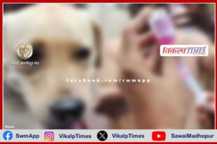 Joint steering committee formed under rabies control programme in rajasthan