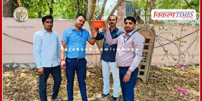 Message of bird love given by planting birds in sawai madhopur