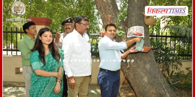 Mission Sun-Protection 2024 - Make efforts to provide relief to innocent animals and birds from heat wave and heat -Principal Government Secretary, Animal Husbandry and Cow Husbandry