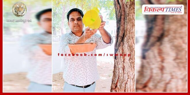 National coordinator of Vipra Samvad, Manoj Parashar tied birds for birds in sawai madhopur