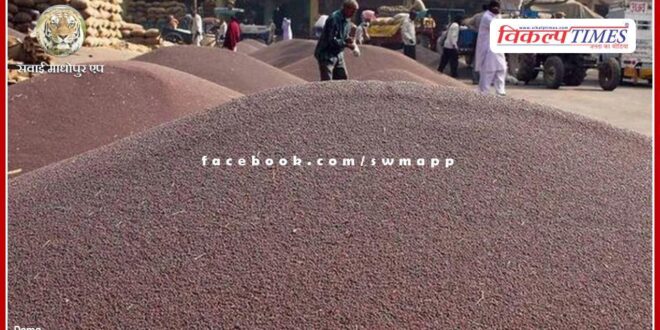 Purchase of mustard and gram at support price