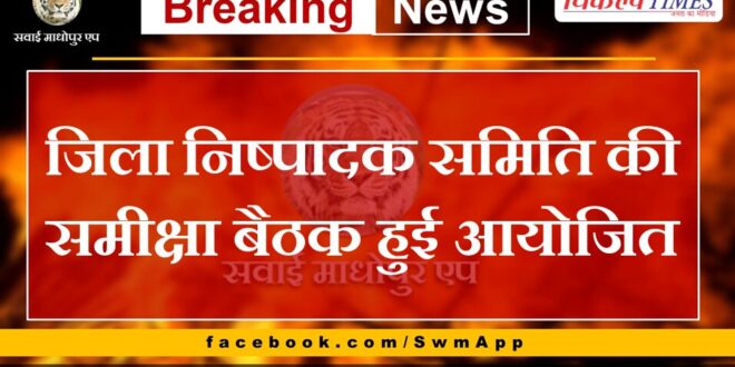 Review meeting of District Executive Committee held in sawai madhopur
