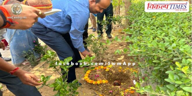 School Education Government Secretary pressed coconuts filled with flour in the soil for ants.