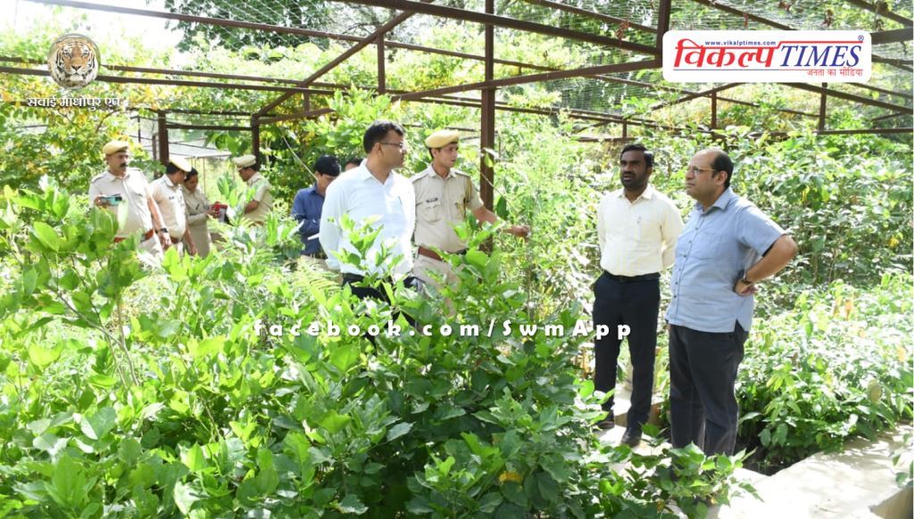 Secretary in-charge inspected Deputy Forest Conservator's office, nursery and CHC Baharwanda Khurd in sawai madhopur