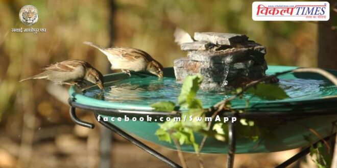 Under the Ek Parinda Mera Bhi campaign, Water pots were tied for birds in sawai madhopur