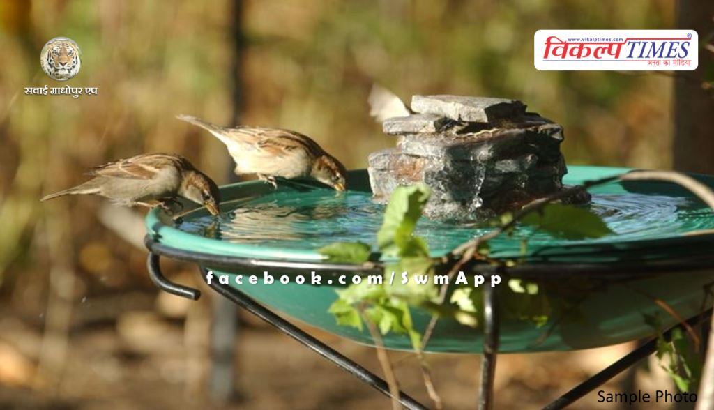 Under the Ek Parinda Mera Bhi campaign, Water pots were tied for birds in sawai madhopur