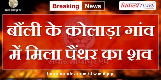 Body of panther found in Kolada village of Baunli