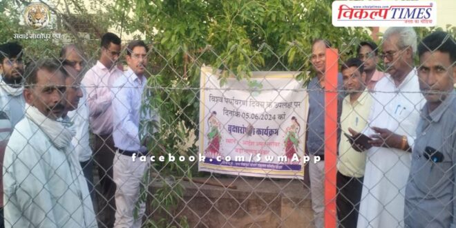 CEO planted trees on World Environment Day in khadar sawai madhopur