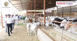 Divisional Commissioner Sanwar Mal Verma inspected the cow sheds of sawai madhopur