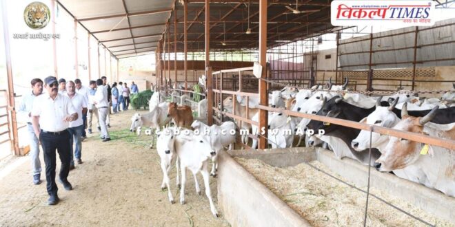 Divisional Commissioner Sanwar Mal Verma inspected the cow sheds of sawai madhopur