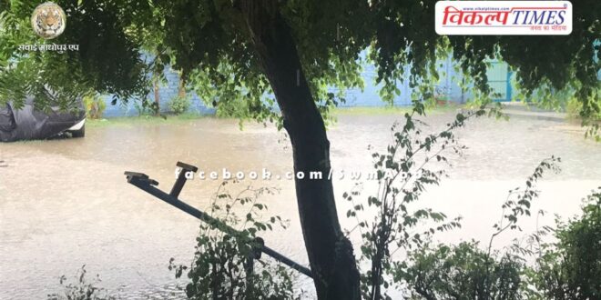 Heavy rain in kota rajasthan