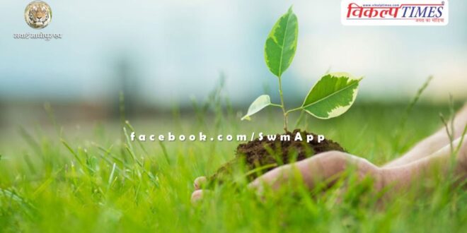 Innovations happening in Rajasthan on the occasion of World Environment Day