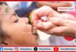National Pulse Polio Vaccination Campaign on 23rd June in sawai madhopur