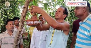 Nayak Vikas Sansthan tied water pot for birds in sawai madhopur
