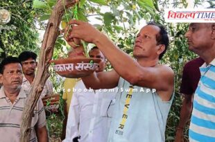 Nayak Vikas Sansthan tied water pot for birds in sawai madhopur